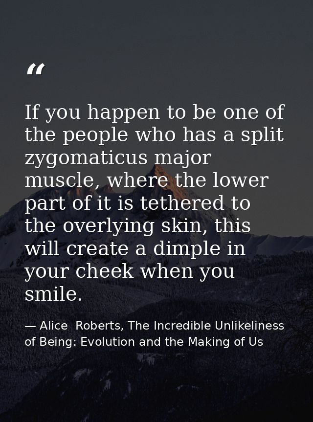 If you happen to be one of the people who has a split zygomaticus major muscle, where the lower part of it is tethered t — Alice  Roberts, The Incredible Unlikeliness of Being: Evolution and the Making of Us
