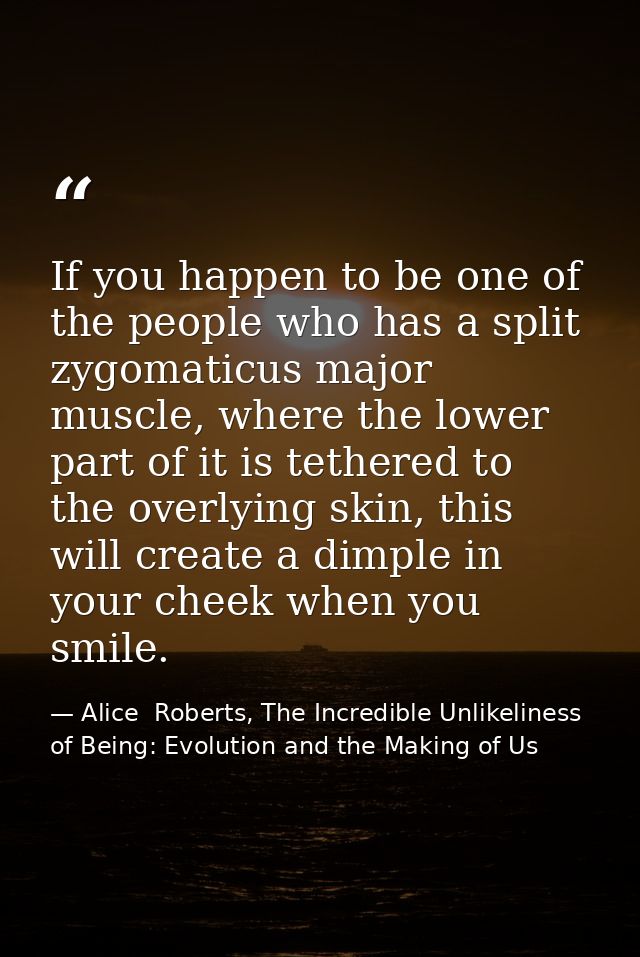 If you happen to be one of the people who has a split zygomaticus major muscle, where the lower part of it is tethered t — Alice  Roberts, The Incredible Unlikeliness of Being: Evolution and the Making of Us