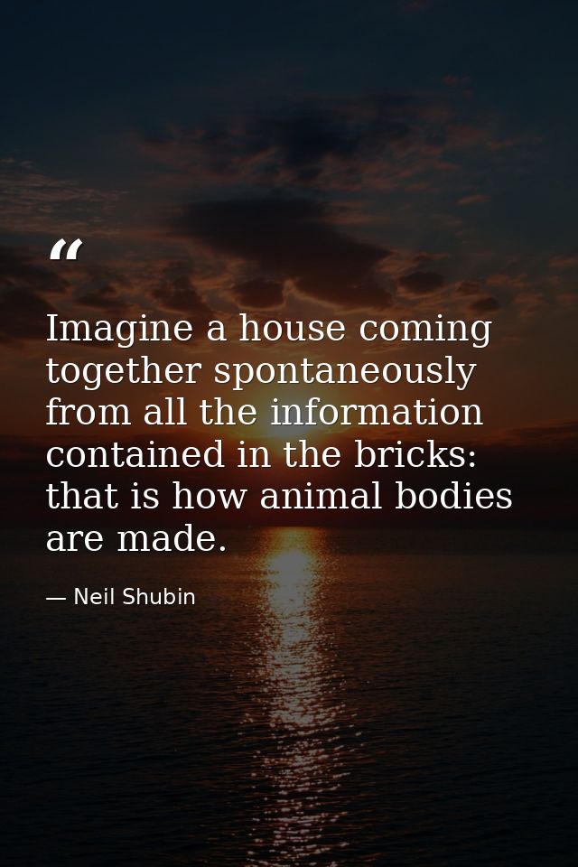 Imagine a house coming together spontaneously from all the information contained in the bricks: that is how animal bodie — Neil Shubin