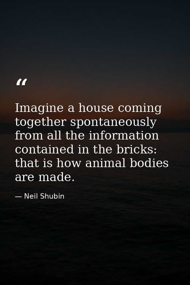 Imagine a house coming together spontaneously from all the information contained in the bricks: that is how animal bodie — Neil Shubin