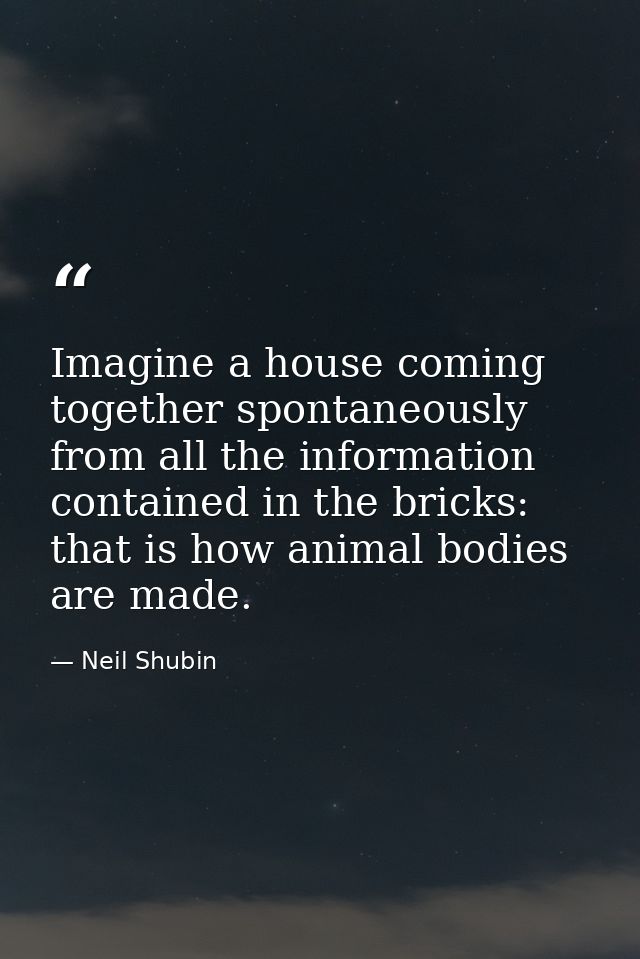 Imagine a house coming together spontaneously from all the information contained in the bricks: that is how animal bodie — Neil Shubin