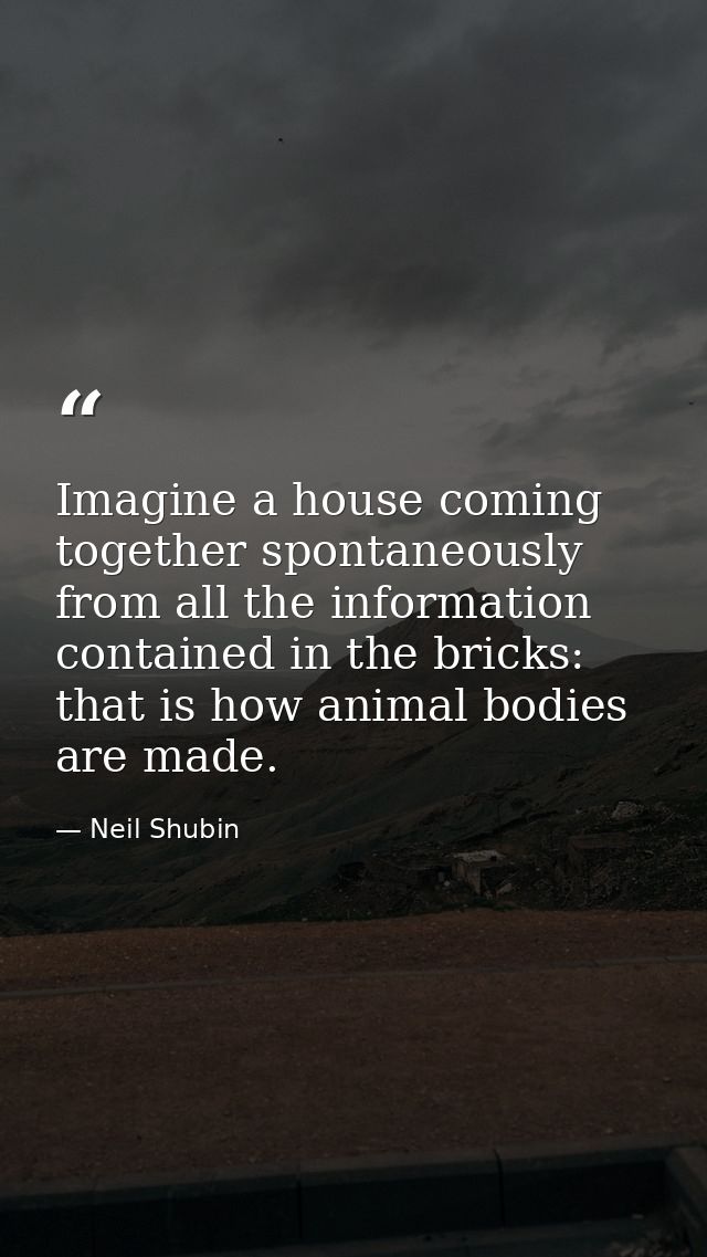 Imagine a house coming together spontaneously from all the information contained in the bricks: that is how animal bodie — Neil Shubin