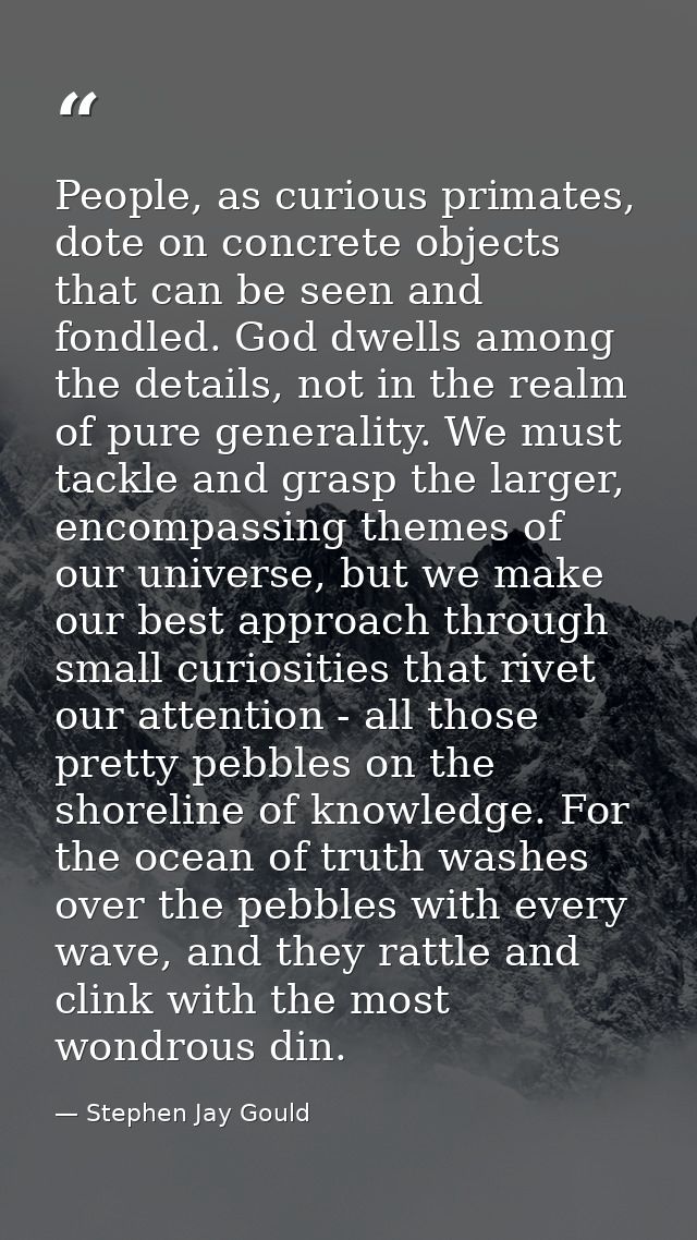 People, as curious primates, dote on concrete objects that can be seen and fondled. God dwells among the details, not in — Stephen Jay Gould