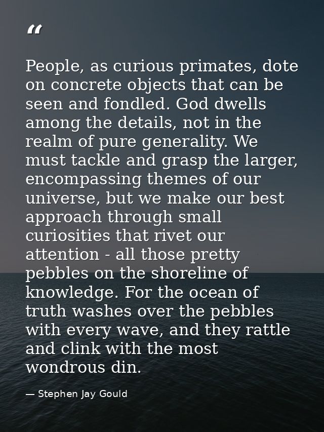 People, as curious primates, dote on concrete objects that can be seen and fondled. God dwells among the details, not in — Stephen Jay Gould