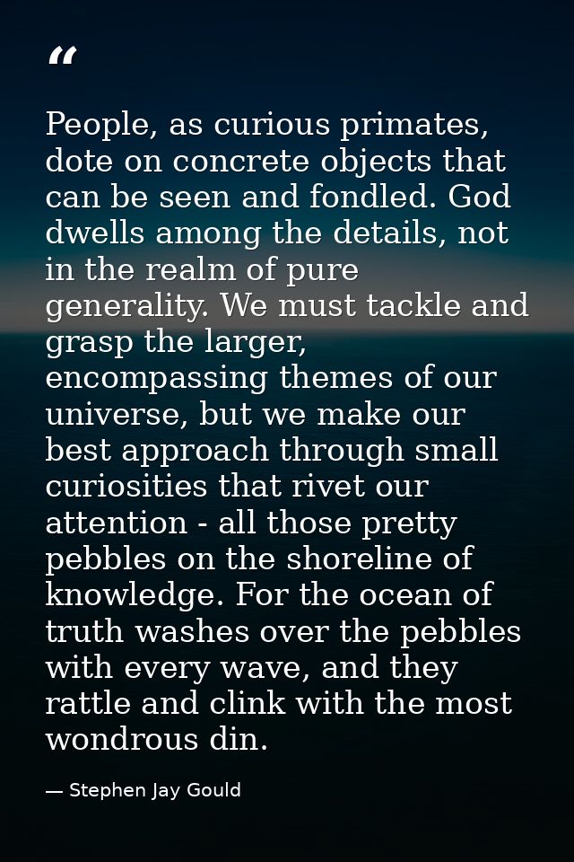 People, as curious primates, dote on concrete objects that can be seen and fondled. God dwells among the details, not in — Stephen Jay Gould