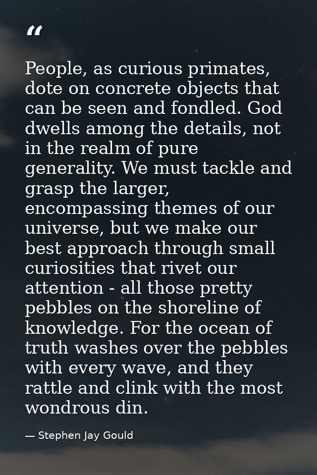 People, as curious primates, dote on concrete objects that can be seen and fondled. God dwells among the details, not in — Stephen Jay Gould