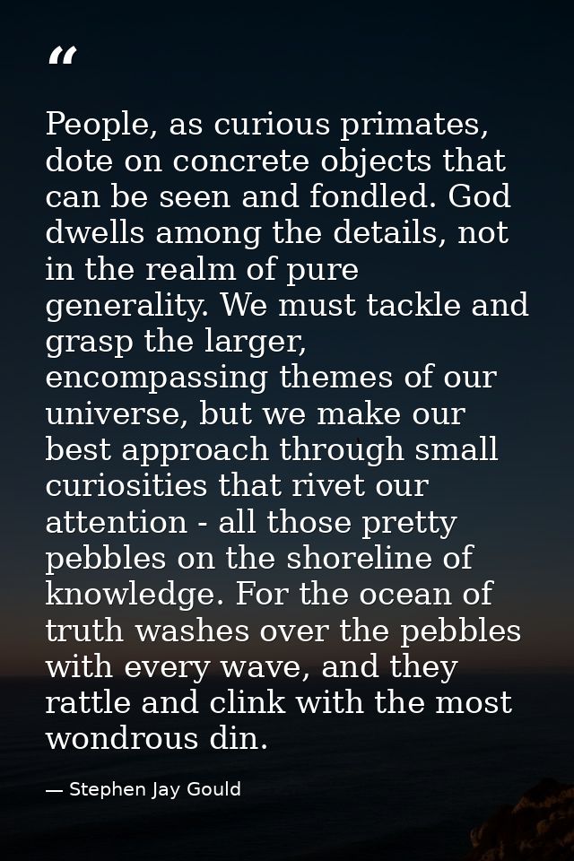 People, as curious primates, dote on concrete objects that can be seen and fondled. God dwells among the details, not in — Stephen Jay Gould