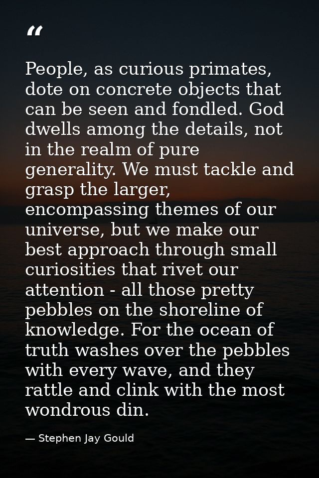 People, as curious primates, dote on concrete objects that can be seen and fondled. God dwells among the details, not in — Stephen Jay Gould