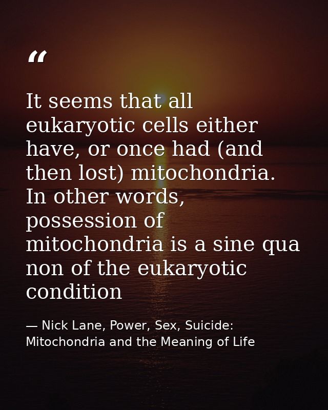 It seems that all eukaryotic cells either have, or once had (and then lost) mitochondria. In other words, possession of  — Nick Lane, Power, Sex, Suicide: Mitochondria and the Meaning of Life