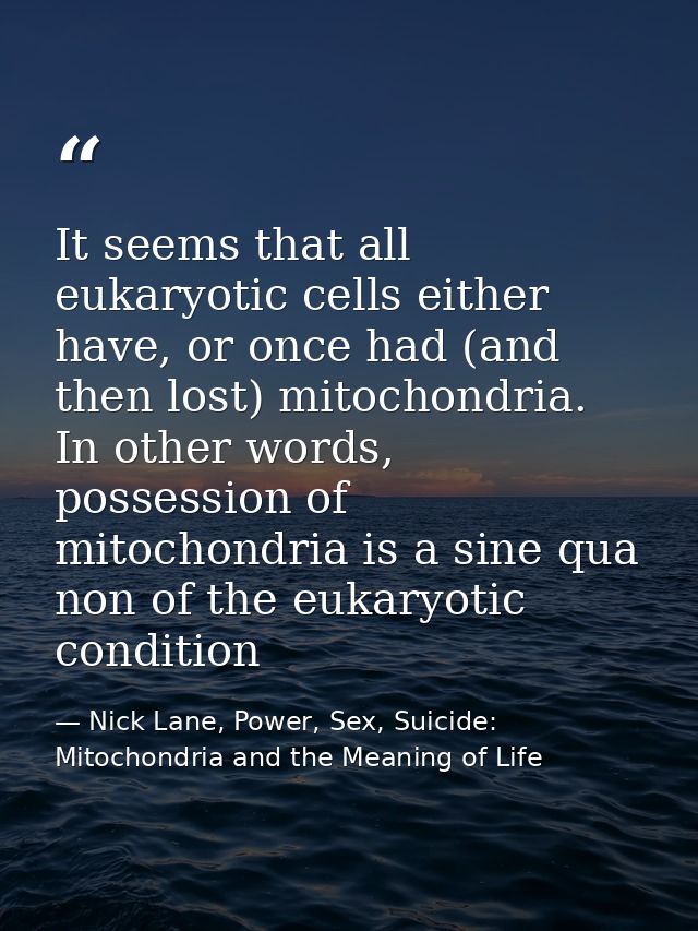 It seems that all eukaryotic cells either have, or once had (and then lost) mitochondria. In other words, possession of  — Nick Lane, Power, Sex, Suicide: Mitochondria and the Meaning of Life