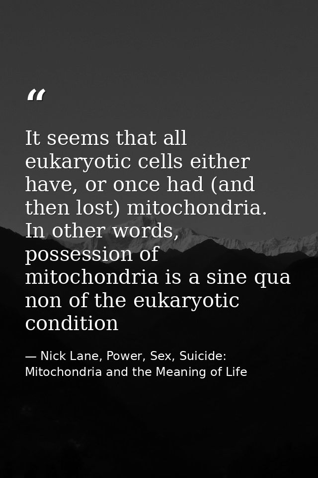 It seems that all eukaryotic cells either have, or once had (and then lost) mitochondria. In other words, possession of  — Nick Lane, Power, Sex, Suicide: Mitochondria and the Meaning of Life