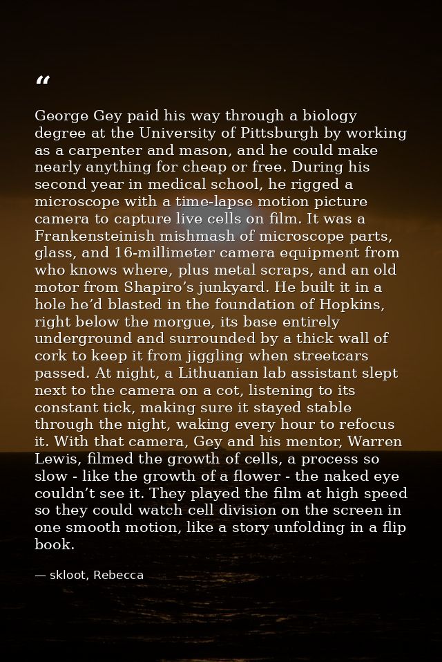 George Gey paid his way through a biology degree at the University of Pittsburgh by working as a carpenter and mason, an — skloot, Rebecca