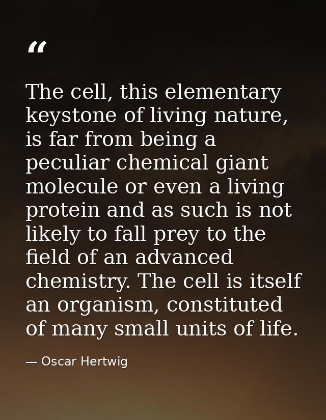 The cell, this elementary keystone of living nature, is far from being a peculiar chemical giant molecule or even a livi — Oscar Hertwig