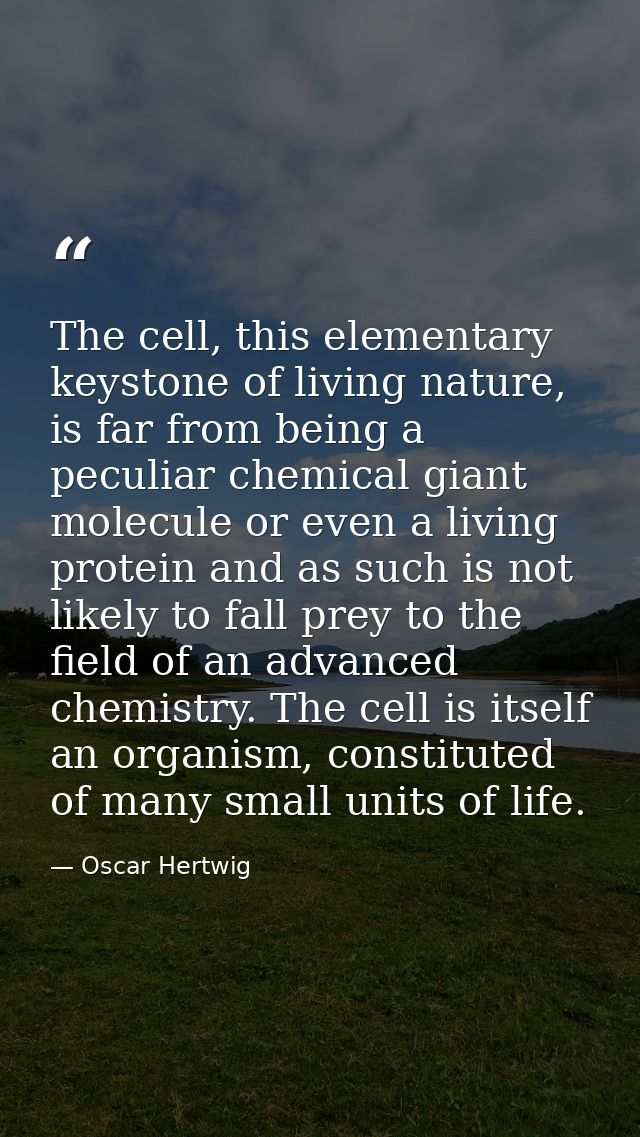 The cell, this elementary keystone of living nature, is far from being a peculiar chemical giant molecule or even a livi — Oscar Hertwig