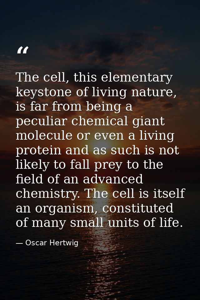 The cell, this elementary keystone of living nature, is far from being a peculiar chemical giant molecule or even a livi — Oscar Hertwig