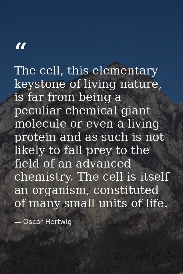 The cell, this elementary keystone of living nature, is far from being a peculiar chemical giant molecule or even a livi — Oscar Hertwig