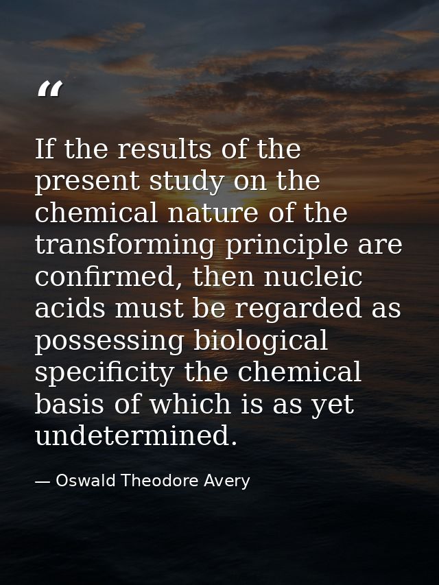 If the results of the present study on the chemical nature of the transforming principle are confirmed, then nucleic aci — Oswald Theodore Avery