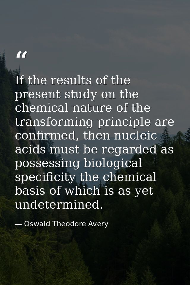 If the results of the present study on the chemical nature of the transforming principle are confirmed, then nucleic aci — Oswald Theodore Avery