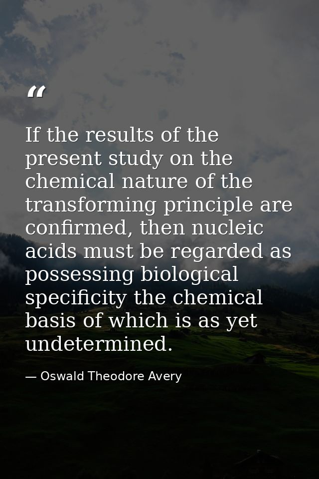 If the results of the present study on the chemical nature of the transforming principle are confirmed, then nucleic aci — Oswald Theodore Avery
