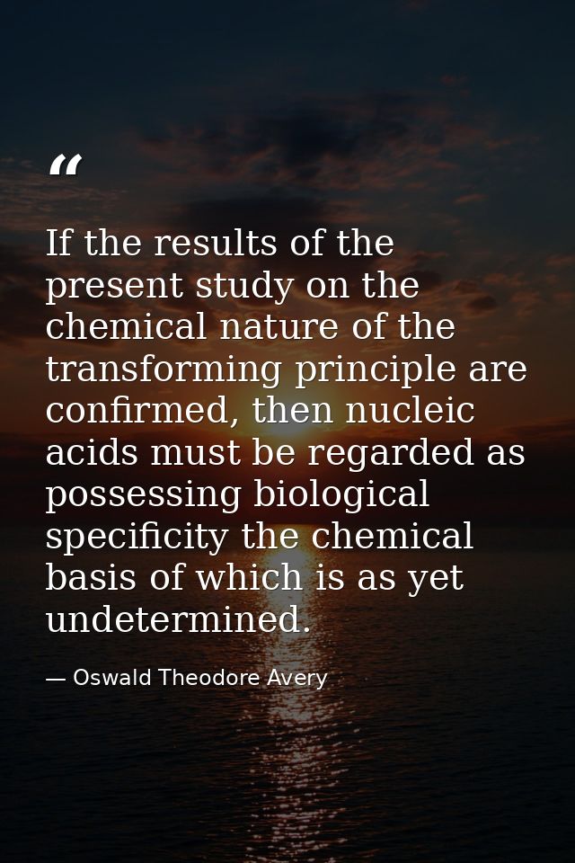 If the results of the present study on the chemical nature of the transforming principle are confirmed, then nucleic aci — Oswald Theodore Avery