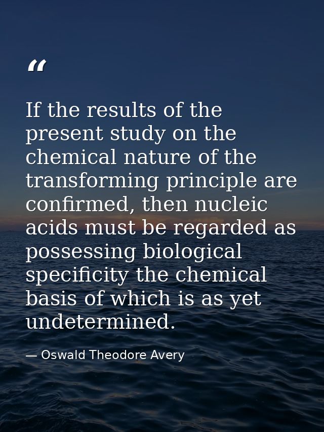 If the results of the present study on the chemical nature of the transforming principle are confirmed, then nucleic aci — Oswald Theodore Avery