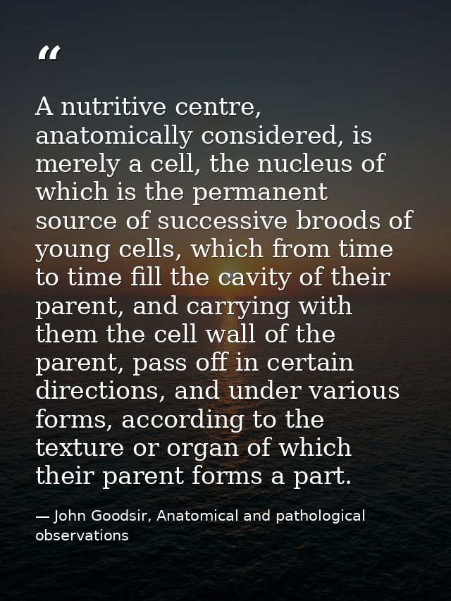 A nutritive centre, anatomically considered, is merely a cell, the nucleus of which is the permanent source of successiv — John Goodsir, Anatomical and pathological observations