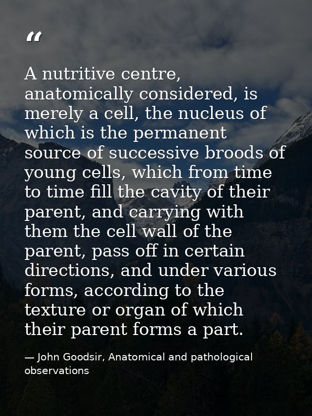 A nutritive centre, anatomically considered, is merely a cell, the nucleus of which is the permanent source of successiv — John Goodsir, Anatomical and pathological observations