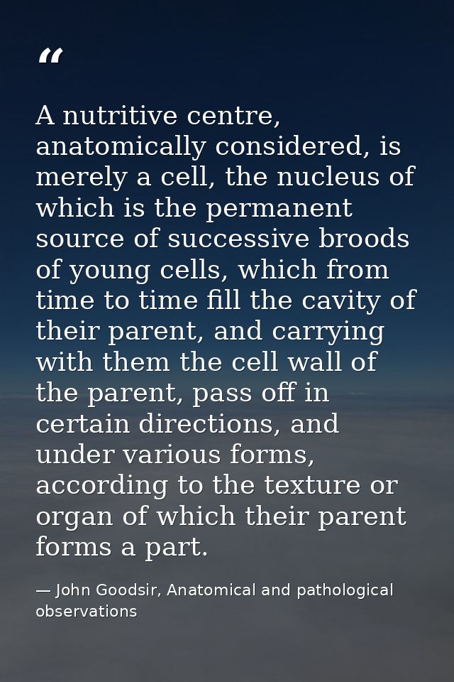A nutritive centre, anatomically considered, is merely a cell, the nucleus of which is the permanent source of successiv — John Goodsir, Anatomical and pathological observations