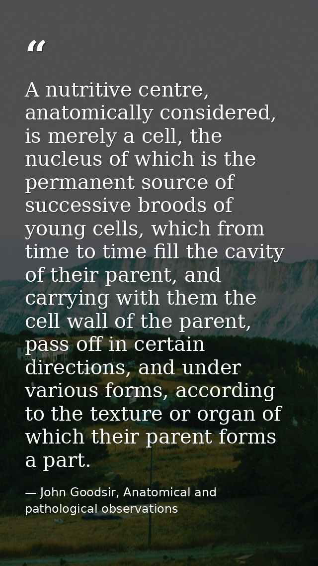 A nutritive centre, anatomically considered, is merely a cell, the nucleus of which is the permanent source of successiv — John Goodsir, Anatomical and pathological observations
