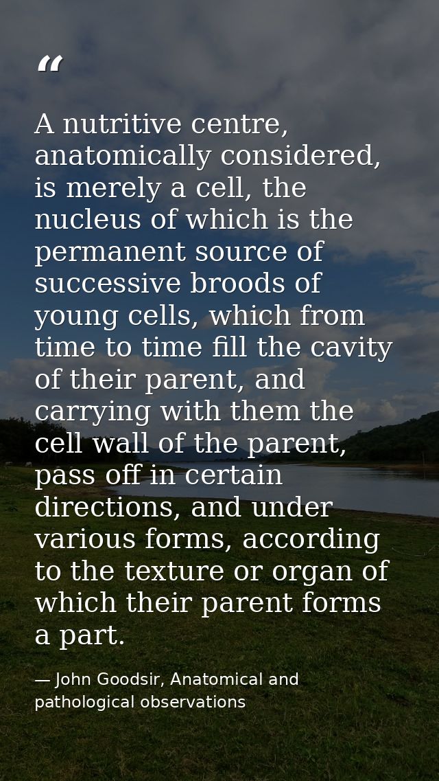 A nutritive centre, anatomically considered, is merely a cell, the nucleus of which is the permanent source of successiv — John Goodsir, Anatomical and pathological observations