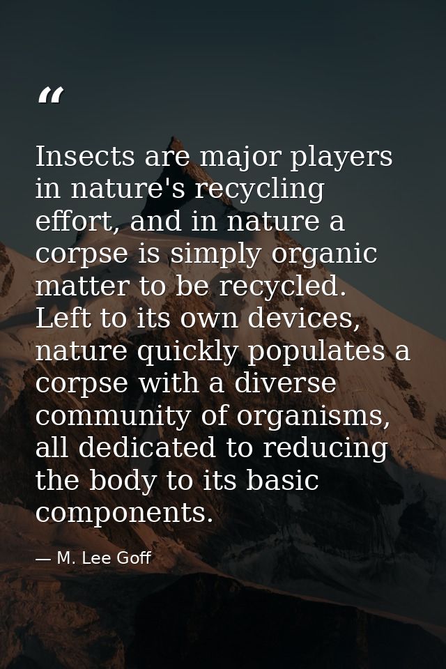 Insects are major players in nature's recycling effort, and in nature a corpse is simply organic matter to be recycled.  — M. Lee Goff