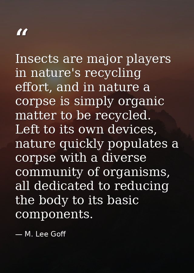 Insects are major players in nature's recycling effort, and in nature a corpse is simply organic matter to be recycled.  — M. Lee Goff