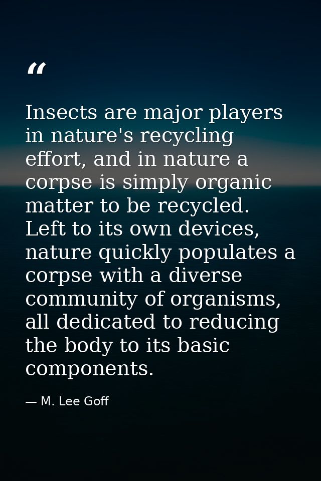 Insects are major players in nature's recycling effort, and in nature a corpse is simply organic matter to be recycled.  — M. Lee Goff