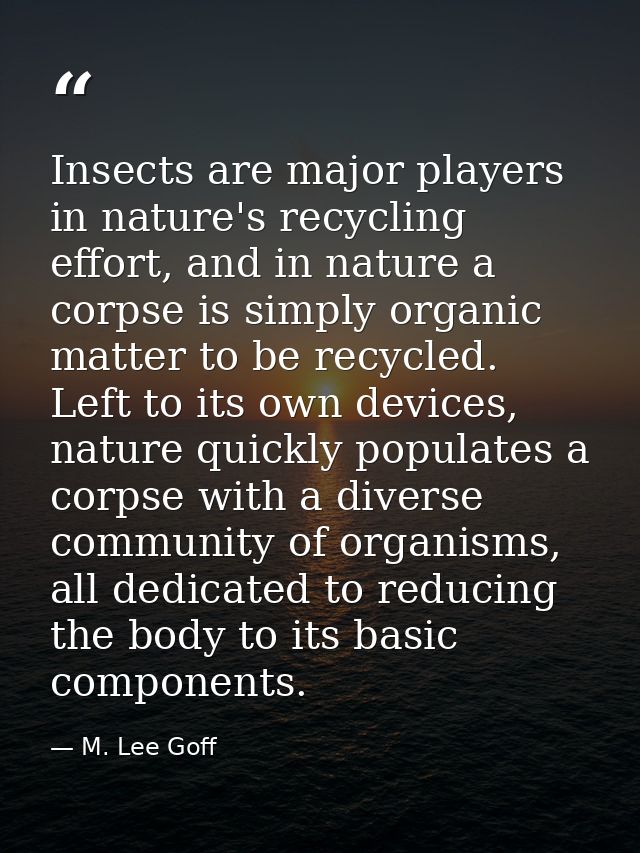 Insects are major players in nature's recycling effort, and in nature a corpse is simply organic matter to be recycled.  — M. Lee Goff