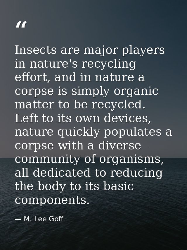 Insects are major players in nature's recycling effort, and in nature a corpse is simply organic matter to be recycled.  — M. Lee Goff