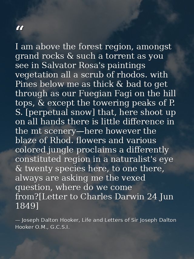 I am above the forest region, amongst grand rocks & such a torrent as you see in Salvator Rosa's paintings vegetation al — Joseph Dalton Hooker, Life and Letters of Sir Joseph Dalton Hooker O.M., G.C.S.I.