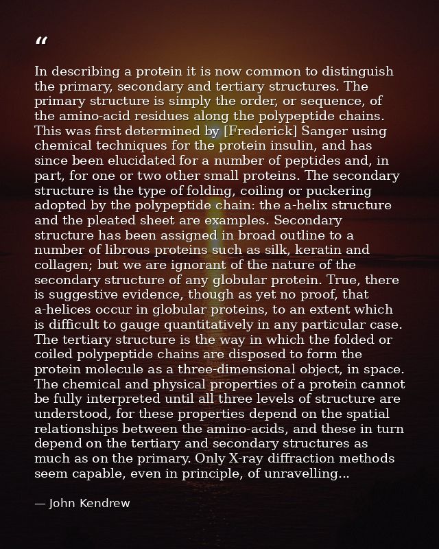 In describing a protein it is now common to distinguish the primary, secondary and tertiary structures. The primary stru — John Kendrew