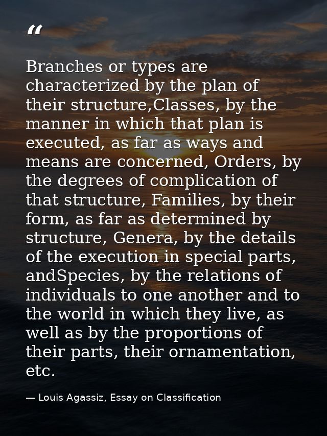 Branches or types are characterized by the plan of their structure,Classes, by the manner in which that plan is executed — Louis Agassiz, Essay on Classification