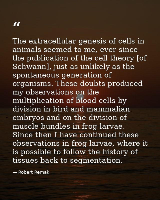 The extracellular genesis of cells in animals seemed to me, ever since the publication of the cell theory [of Schwann],  — Robert Remak