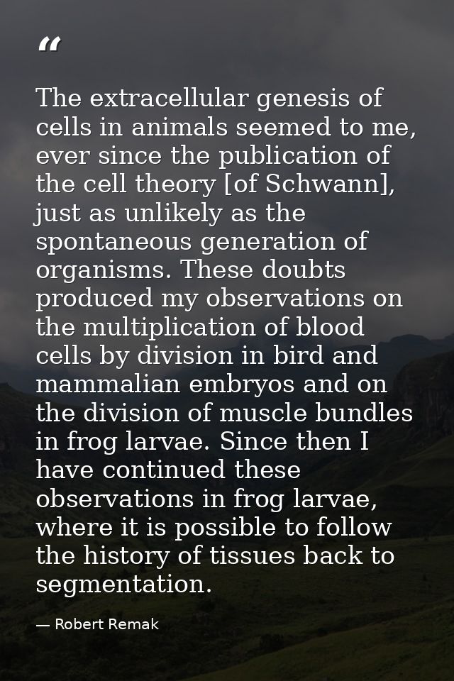 The extracellular genesis of cells in animals seemed to me, ever since the publication of the cell theory [of Schwann],  — Robert Remak