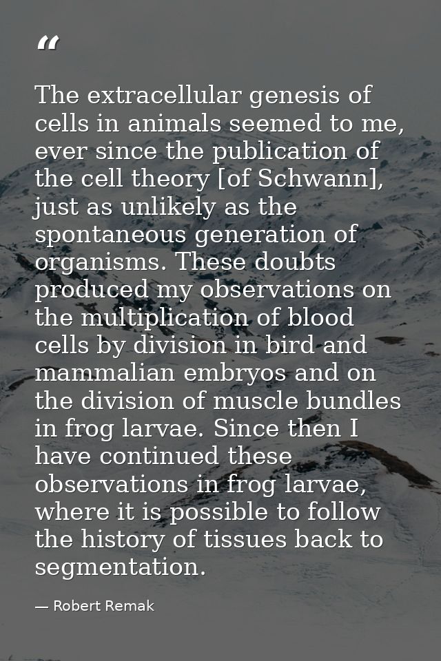 The extracellular genesis of cells in animals seemed to me, ever since the publication of the cell theory [of Schwann],  — Robert Remak