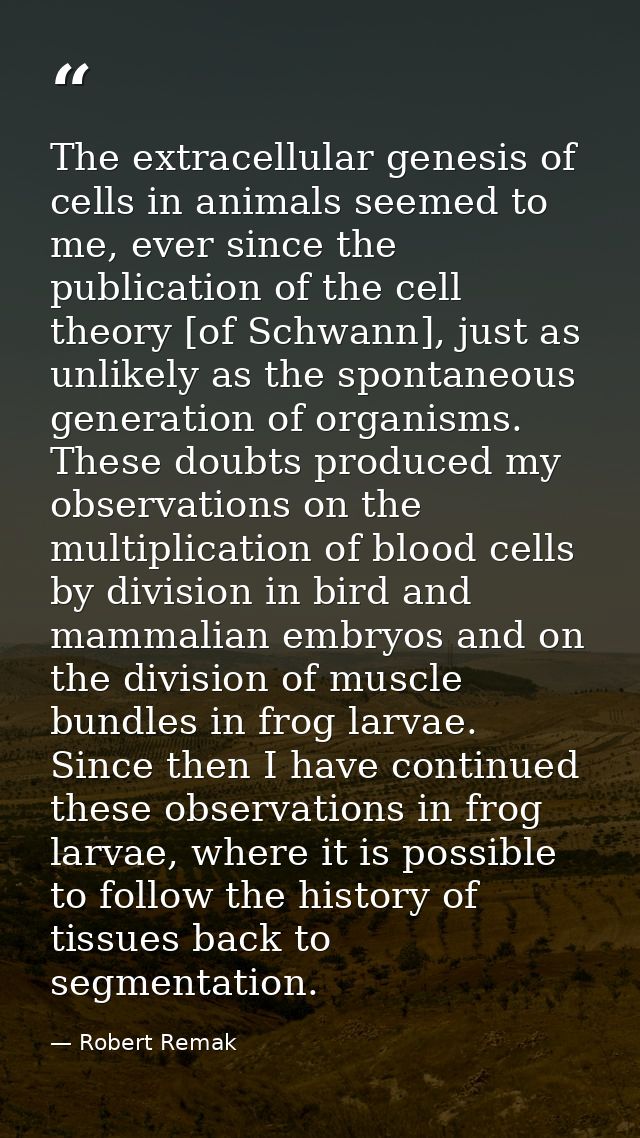 The extracellular genesis of cells in animals seemed to me, ever since the publication of the cell theory [of Schwann],  — Robert Remak