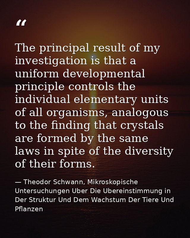 The principal result of my investigation is that a uniform developmental principle controls the individual elementary un — Theodor Schwann, Mikroskopische Untersuchungen Uber Die Ubereinstimmung in Der Struktur Und Dem Wachstum Der Tiere Und Pflanzen