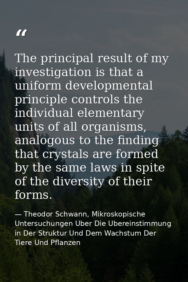 The principal result of my investigation is that a uniform developmental principle controls the individual elementary un — Theodor Schwann, Mikroskopische Untersuchungen Uber Die Ubereinstimmung in Der Struktur Und Dem Wachstum Der Tiere Und Pflanzen