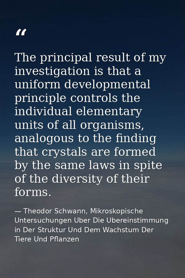 The principal result of my investigation is that a uniform developmental principle controls the individual elementary un — Theodor Schwann, Mikroskopische Untersuchungen Uber Die Ubereinstimmung in Der Struktur Und Dem Wachstum Der Tiere Und Pflanzen