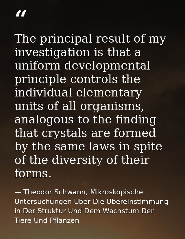 The principal result of my investigation is that a uniform developmental principle controls the individual elementary un — Theodor Schwann, Mikroskopische Untersuchungen Uber Die Ubereinstimmung in Der Struktur Und Dem Wachstum Der Tiere Und Pflanzen