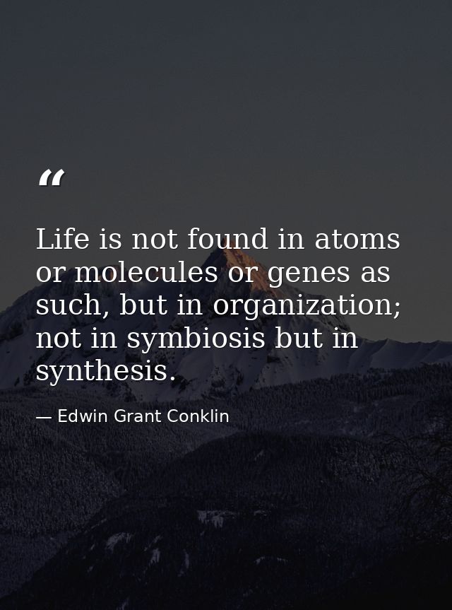 Life is not found in atoms or molecules or genes as such, but in organization; not in symbiosis but in synthesis. — Edwin Grant Conklin