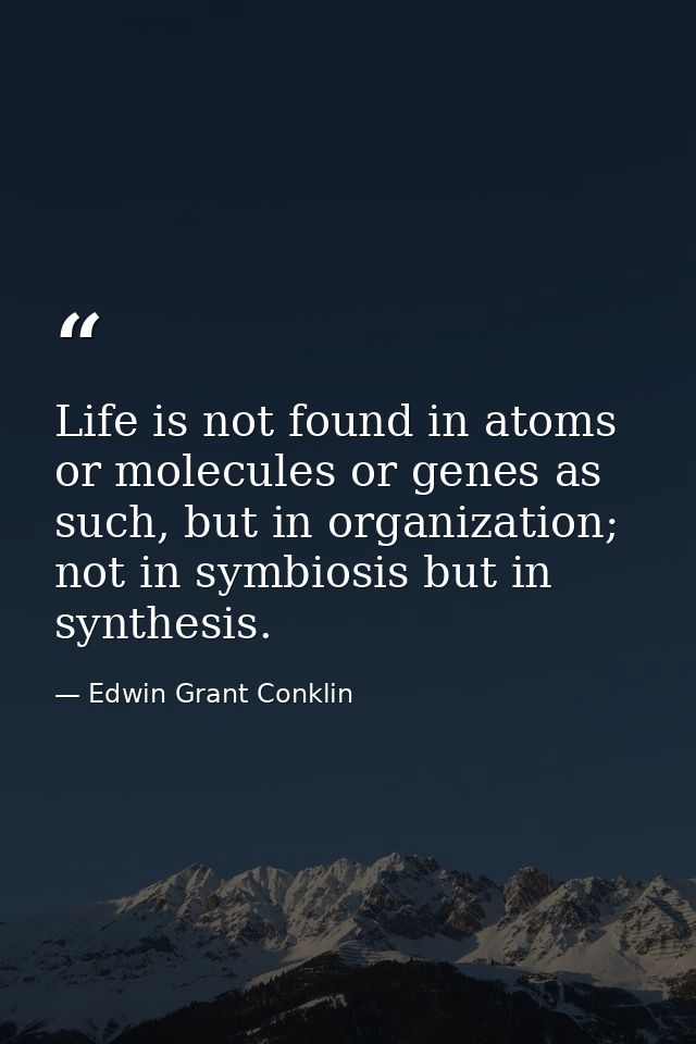 Life is not found in atoms or molecules or genes as such, but in organization; not in symbiosis but in synthesis. — Edwin Grant Conklin
