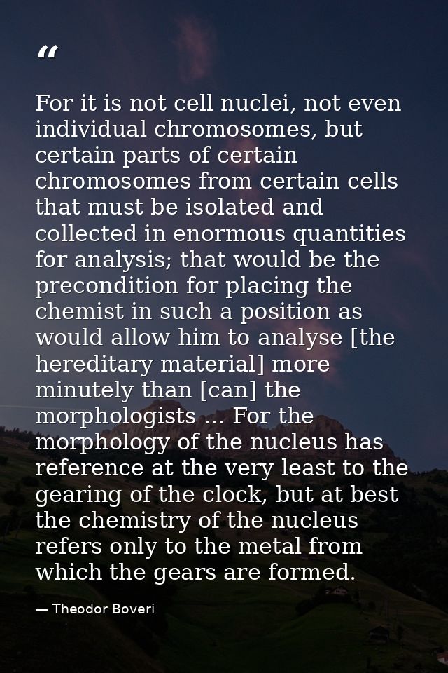 For it is not cell nuclei, not even individual chromosomes, but certain parts of certain chromosomes from certain cells  — Theodor Boveri