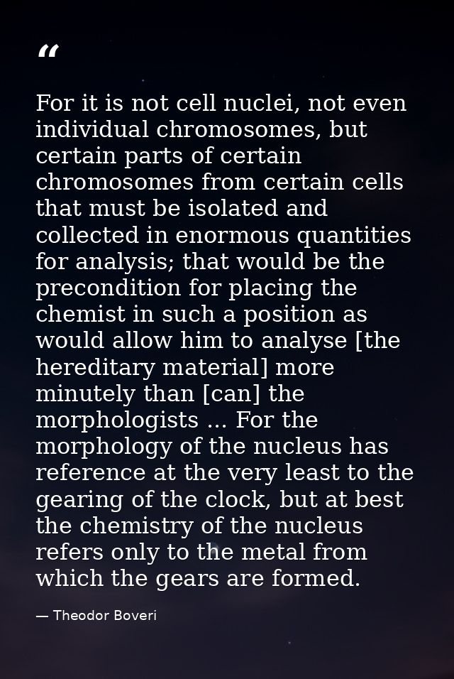 For it is not cell nuclei, not even individual chromosomes, but certain parts of certain chromosomes from certain cells  — Theodor Boveri